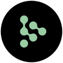 Saleon Logo